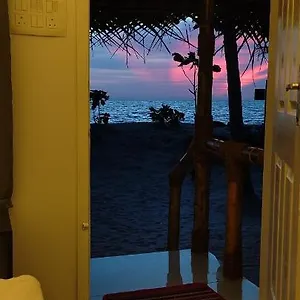  Homestay Bliss
