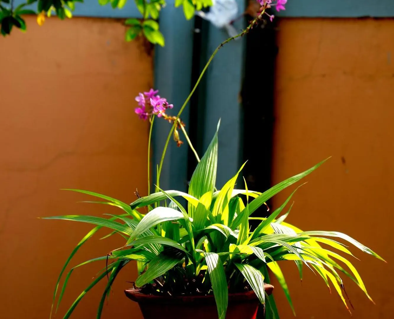 Homestay Near Alappuzha Backwater